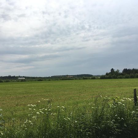 Uggerby Skovhusetヴィラ エクステリア 写真