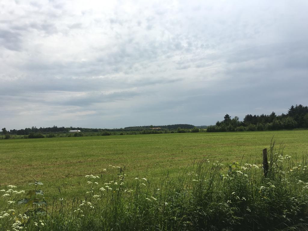 Uggerby Skovhusetヴィラ エクステリア 写真