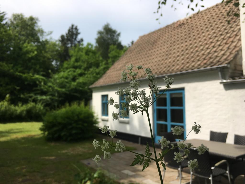 Uggerby Skovhusetヴィラ エクステリア 写真